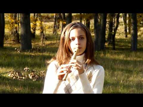 Ronan Hardiman - Cry Of The Celts | Lord Of The Dance (recorder cover with notes)