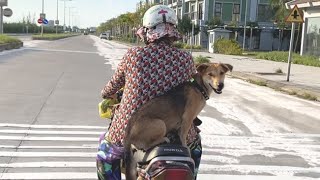 you will see thing like this very often if you come to Vietnam