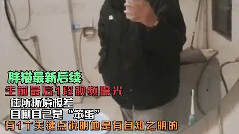 【胖貓事件】胖貓生前最後一段視頻曝光，住所環境極差，自嘲自己是“笨蛋” #胖貓 #日常嘮嗑 #情感共鳴 #自渡自愈 #胖貓事件 - 天天要聞