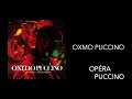 Capture de la vidéo Oxmo Puccino - Sortilège