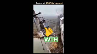 power of electricity @Zdak @ #ai #asmr #memes