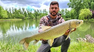 NUNCA VISTE ESTA PESCA!! CARPA AMUR, CHINA🇨🇳