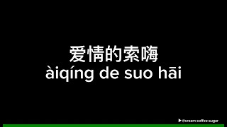 爱情的索嗨 (ai qing de suo hai) -  广东烂仔Zaage炸鸡 (Lyric Video)