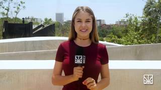Working for Weed: The Best Jobs in the Marijuana Industry  | MERRY JANE News