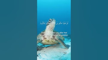 سورة البقرة من الاية 51 الي الاية 53 بصوت القارئ محمود علي البنا