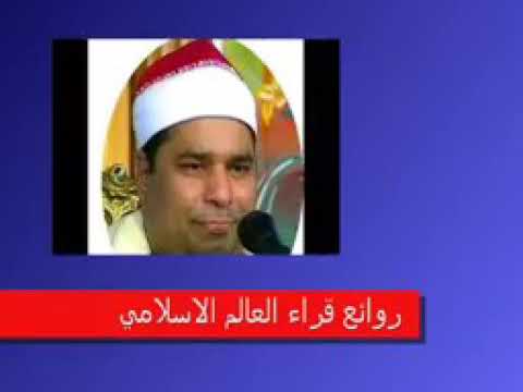 كروان الشرقية الشيخ محمد الليثي