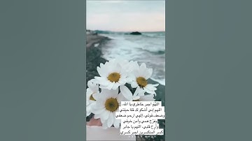 أرح سمعك 🥀القارئ: ماهر المعيقلي 🍃حالات واتس