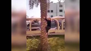 Pinay In Kuwait Made Funny Video About Total Banplease Watch Till The End..