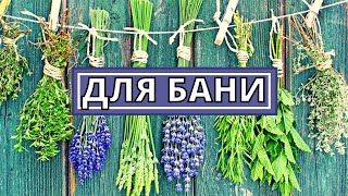 Целебные венички для бани.Готовим сами.