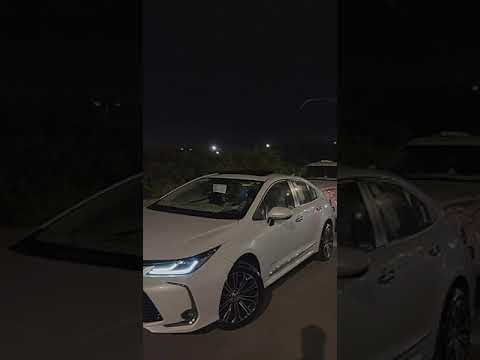 كورولا 2020   14