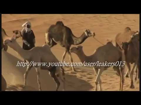 გოგი ძოძუაშვილი - არ დაიჯერო ♫♫