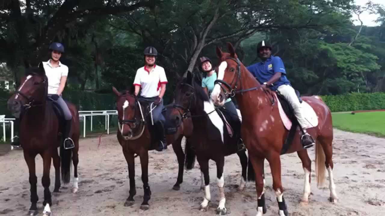 Daniel Sitranen | Horse Riding Instructor | Singapore Polo Club