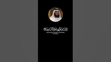 سورة الفيل #اكسبلور #لايك #دويتو #راحة_نفسية #duet #اكسبلورر_فولو