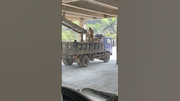 bốc xi măng#shorts