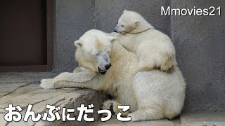 Pick me up on your back,Polar Bear cub おんぶにだっこホッキョクグマ親子