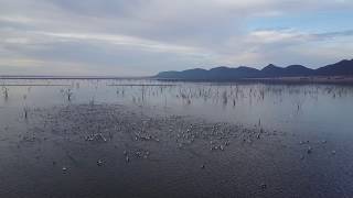 DJI Mavic Pro-Cinema Series filters from Polar Pro