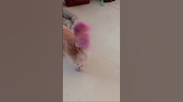 Thumbnail of JEN purple people  eater