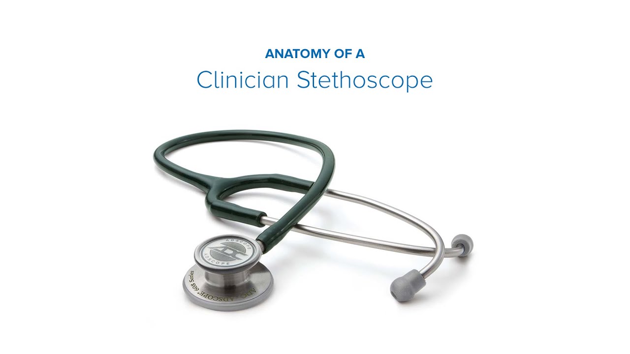 Anatomy of a Clinician Stethoscope YouTube