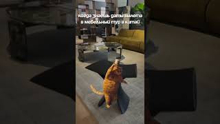 Мебельные туры в Китай - свободные даты