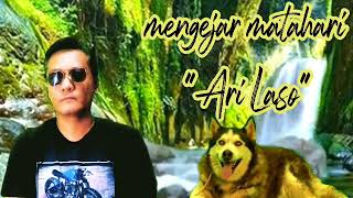 Mengejar matahari Ari Laso