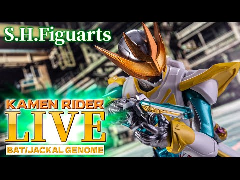 shf規格カスタム品　リガド shf規格カスタム品 リガド Toy Review: S.H. Figuarts Kamen