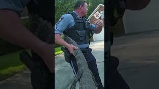 Police Officers Tackle Alligator In Georgia Residential Street