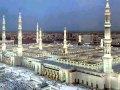 القران الكريم بالصفحات الصفحة      للقارئ الشيخ ماهر المعيقلي حالتي