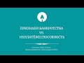 Признаки банкротства vs. неплатёжеспособность: взболтать, но не смешивать?