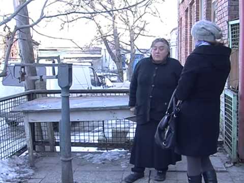 კახეთში ღორის აფრიკული ჭირი გავრცელდა