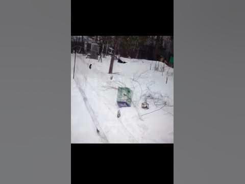 Орнитологическая сеть для ловли и кольцевания птиц как выглядит сеть # ...