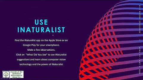Identifications for iNaturalist : prelude to the City Nature CNCYXE Challenge
