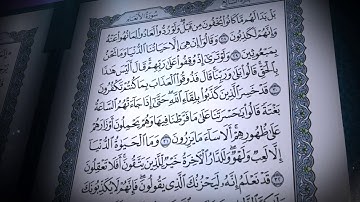 سورة الأنعام | صلاح بو خاطر