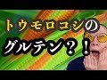 トウモロコシに含まれる〇〇〇がセリアック病を悪化させる危険性について。
