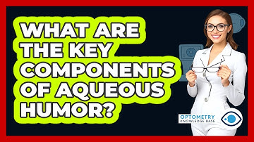 What Are The Key Components Of Aqueous Humor?