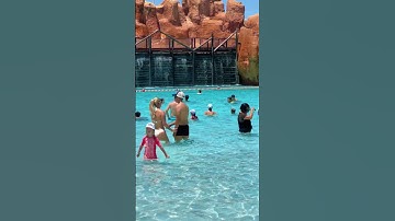 🐬Time To Have Fun in Wave Pool Thrilling Water Park - Holiday Aqua World💦 #waterpark #wavepool