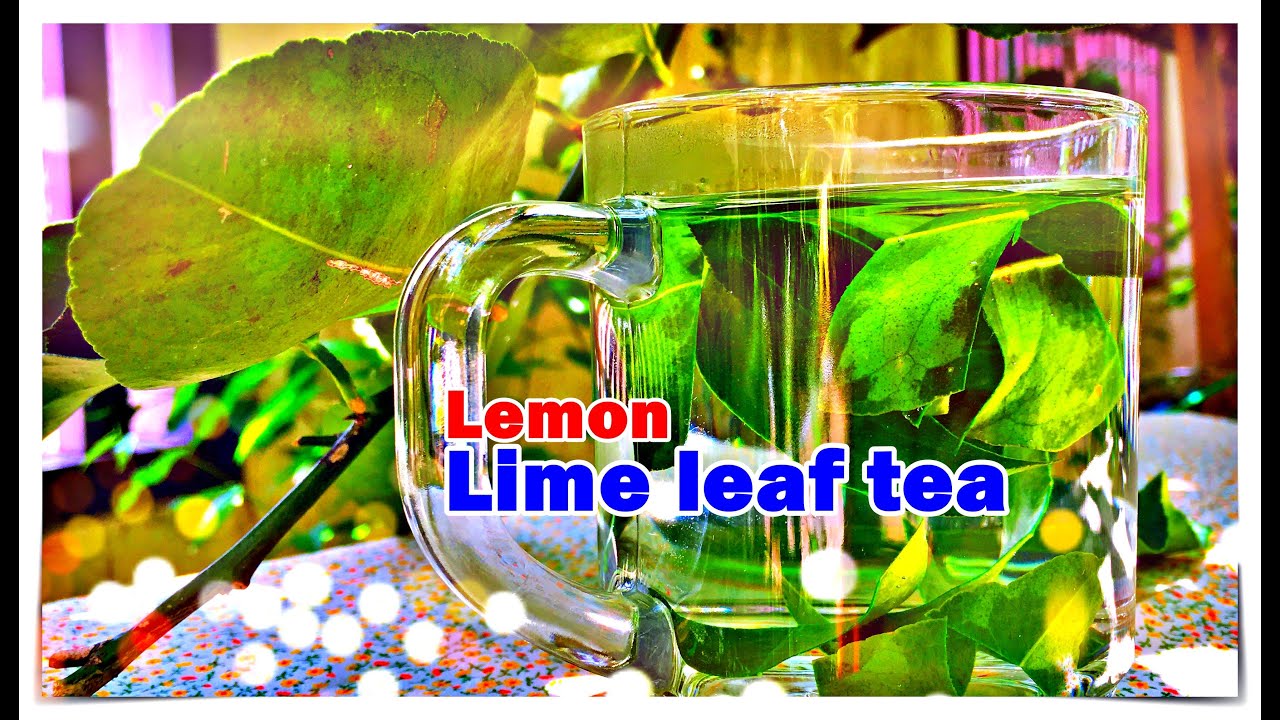 How to Lime leaves tea Healthy tea Homemade tea ชาใบมะนาว แก้อาการ