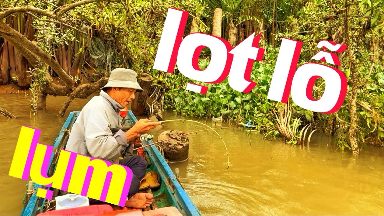 Kinh Nghiệm Câu Cá Sông _ Lạ Thật _ Lọt Lỗ Là Lụm