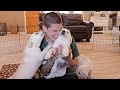 ATTACK OF THE PUPPY KISSES!!!