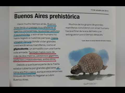 Página 33 libro