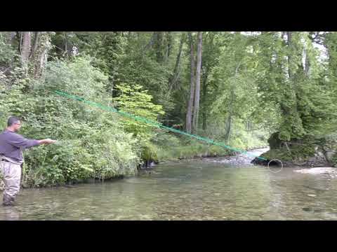 Angular trajectories -