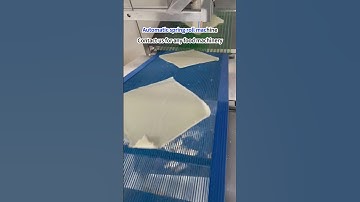 Automatic spring roll machine #chengtao #machine #machinerychannel #food #dumplings #foodmachine