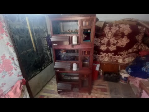 خانات تبزير جميلة