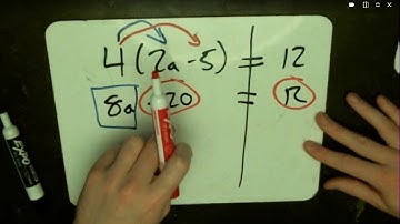 Video Lesson:  Solving Equations & the Distributive Property (8.EE.C.7b)