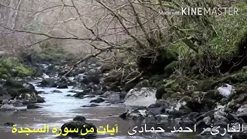 القارى: احمد حمادي - ايات من سورة السجدة