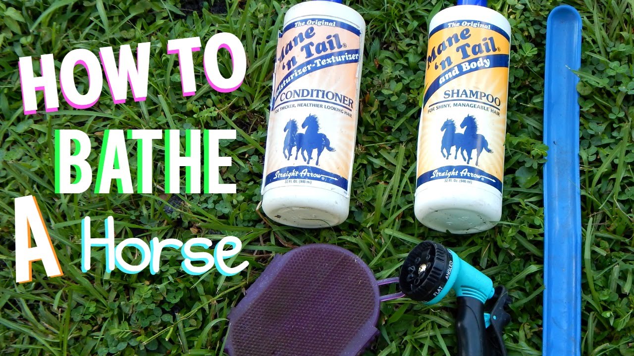 How To Bathe A Horse YouTube