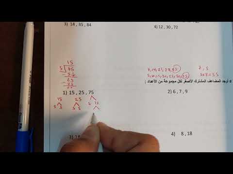 رياضيات سادس ف1 الوحدة 1 النسب والمعادلات