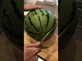 今年最後の一玉1000円の高級スイカ🍉を切りました🥲チャンネル登録待っているぜ👍🤑🔥💵💰🔥💰💵🔥💵💰🔥