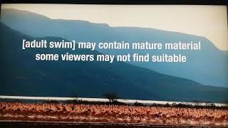 Adult Swim - Tuesdays Summer Disclaimer May 2020