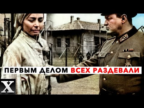 Адские Эксперименты Над Женщинами В Лагере Равенсбрюк