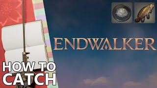 How to Catch Red Bowfin in FFXIV (for Moonlight Aethersand)